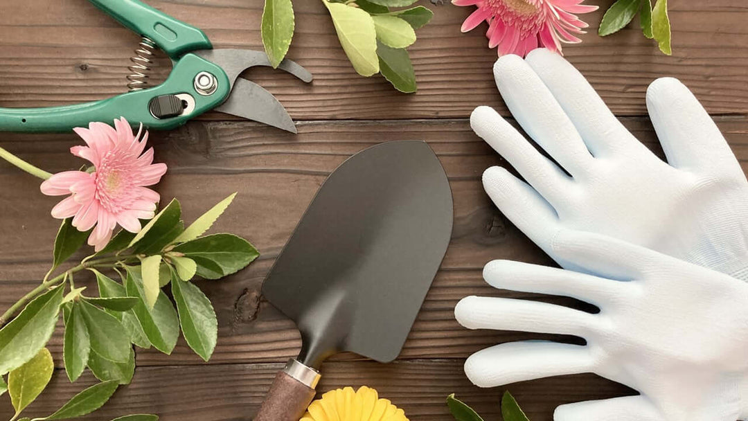 観葉植物を育てるのに必要なもの・あると便利なもの!