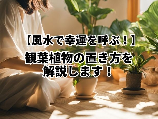 風水で幸運を呼ぶ観葉植物の置き方の画像