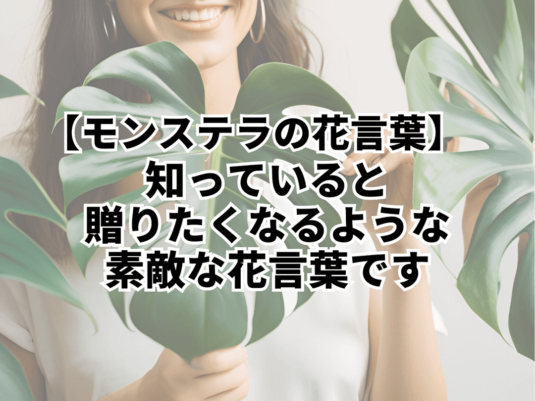 モンステラの花言葉について説明した画像