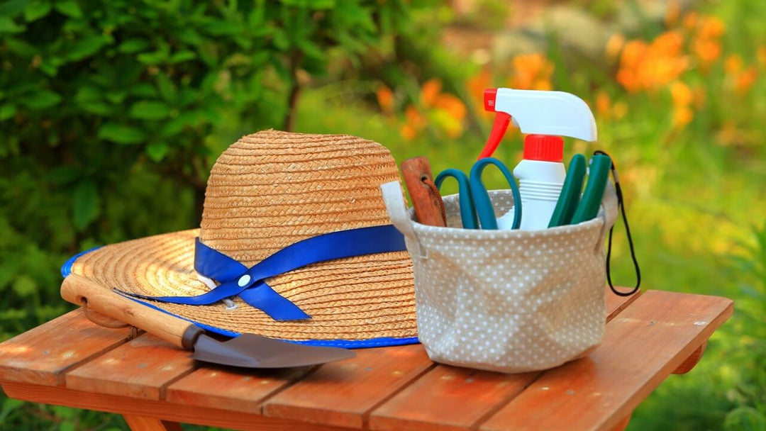 持っておくと便利!観葉植物の薬剤・殺虫剤を徹底比較!