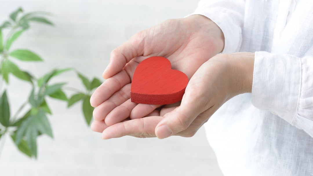 結婚記念日にプレゼントしたい観葉植物。おすすめの種類5選!