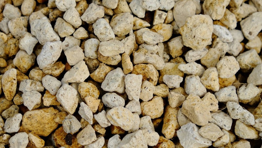 観葉植物を育てるのに必要な鉢底石って何?