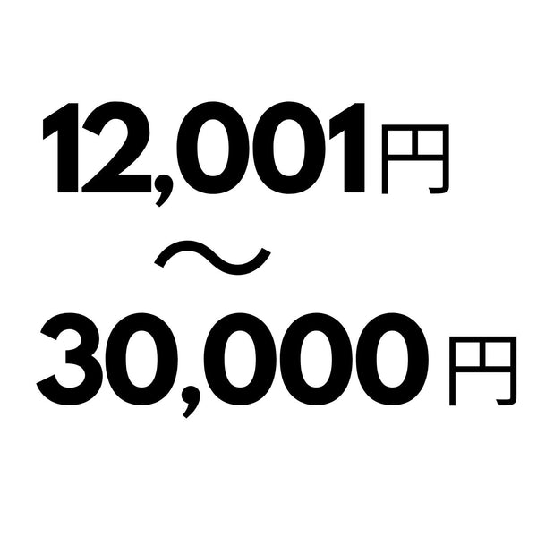 12,001円-30,000円