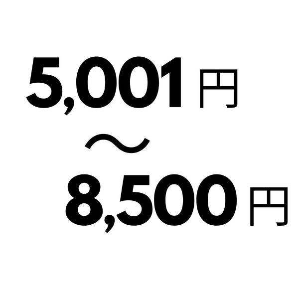 5,001円-8,500円