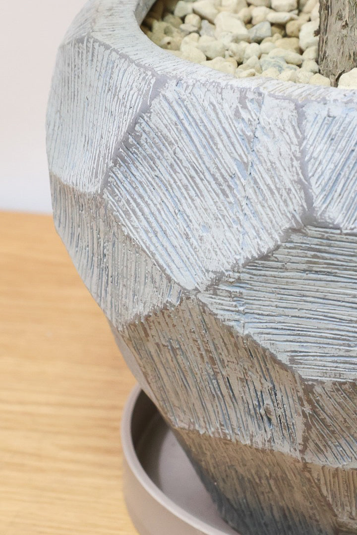 【パキラ ミルキーウェイ】個性的なテクスチャーのPOT!しかもボリュームあります!ホワイト&グリーンの葉がとても美しい!!あまり作られていない希少な観葉植物です!