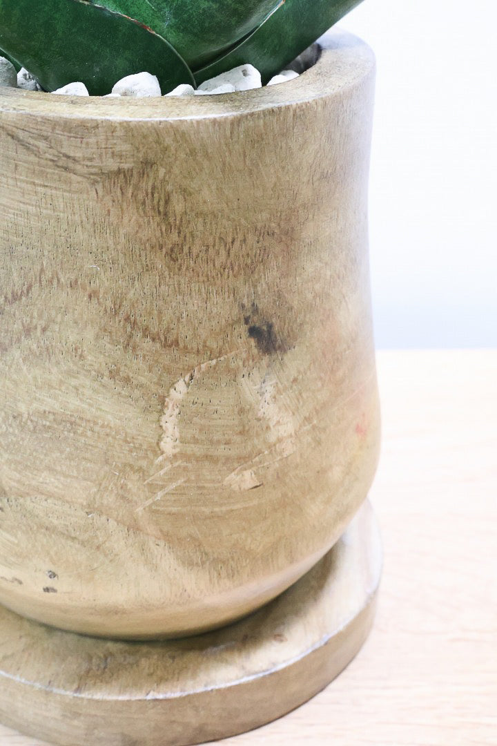 【サンスベリア インドツー】人気の木製POT!仲良しの生産者さんからいい形のものを分けてもらいました!いいバランスです!