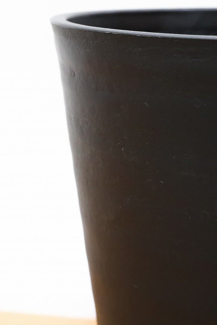 【サンスベリア マッソニアーナバリエガタ】軽量なプラスチック鉢!今回は希少な斑入り種。大型のタイプはなかなか出回らないので是非ご検討ください!