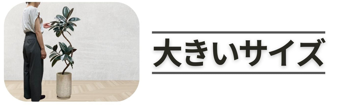 大きいサイズ