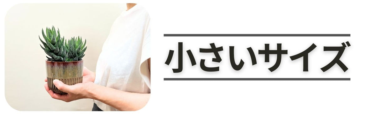 小さいサイズ