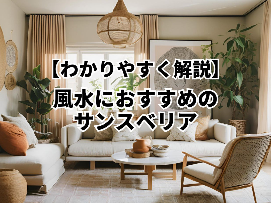 風水におすすめのサンスベリア