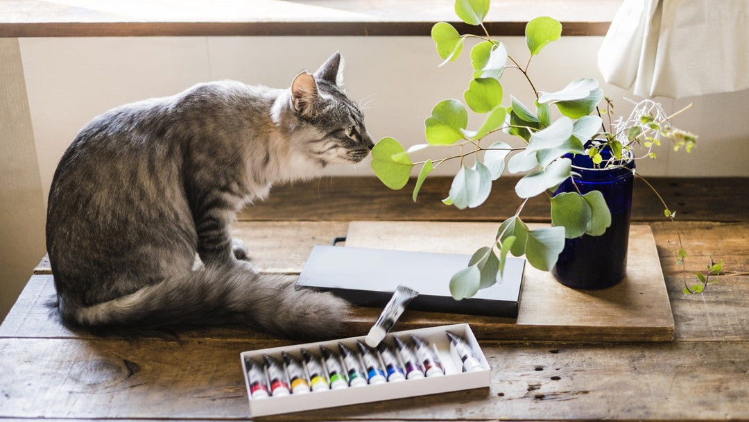 デスク・机にぴったりのかわいい観葉植物あります