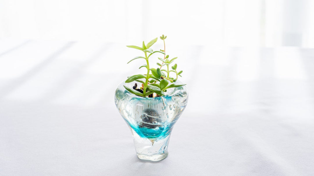 水耕栽培しやすい観葉植物の種類や水耕栽培の手順を解説！