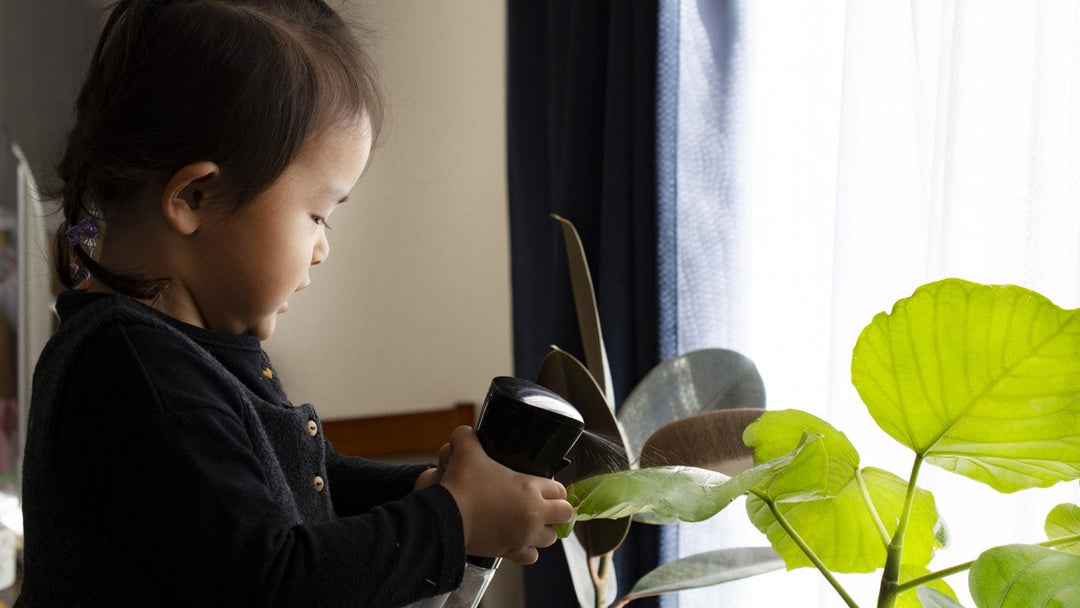 小さな子どもがいる家庭で観葉植物を育てるときのポイント