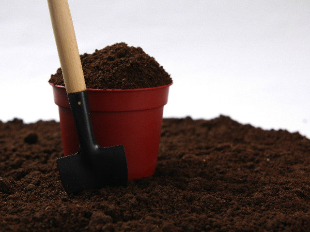 観葉植物の肥料の種類と、使うときの3つのポイント