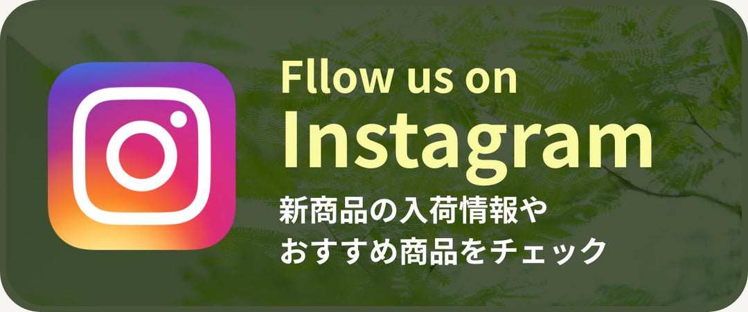 APEGOインスタグラムのバナー