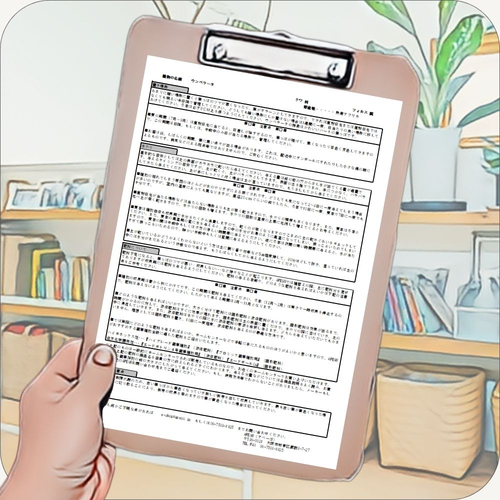 季節に応じた観葉植物の育て方カードを同封することを説明した画像