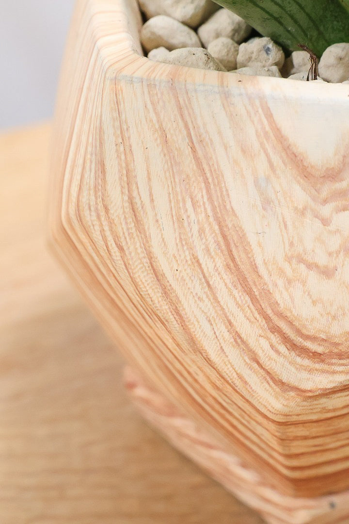 【サンスベリア シルバークラウン】仲良しの生産者さんからいい形のものを分けてもらいました！木製のPOTもGOOD！