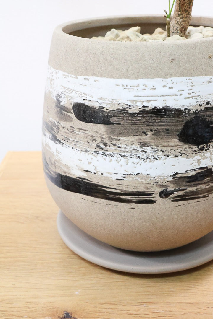 エバーフレッシュ 楽天市場】エバーフレッシュ 曲がり（ 3Dカーブ） 黒色