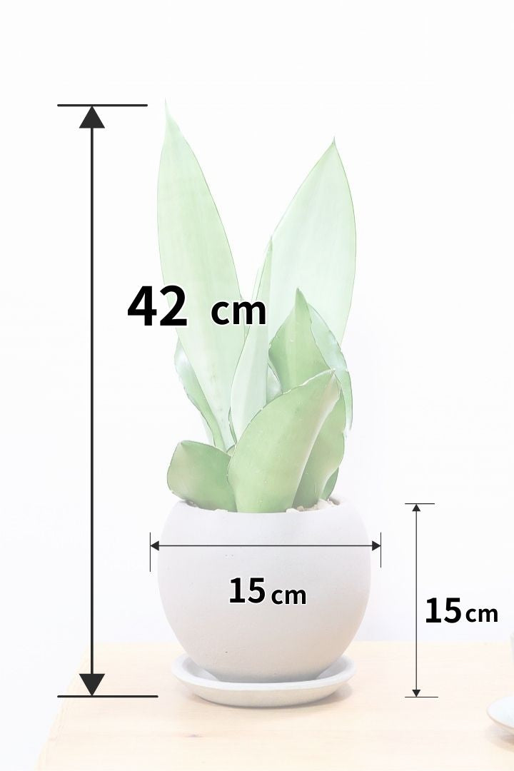 スペインの霧 水性スプレー 深紫 100ml | ペンキ（塗料）・塗装用品 通販