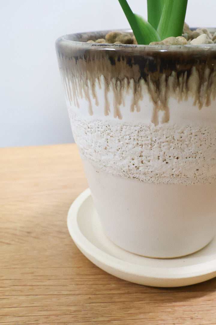 【モンステラ】落ち着いたカラーのPOT！コレかわいすぎますよ。だってこんなまん丸の葉っぱなんて…。流れるようなテクスチャのPOTも良い感じ！