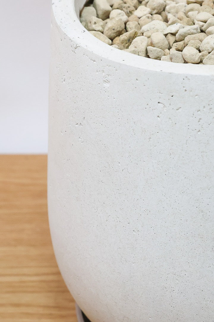 エバーフレッシュIV60574| 観葉植物の通信販売 | APEGO(アペーゴ)