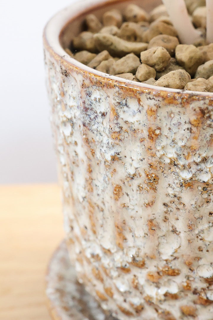 アマネ まえねん 1/12 2023 Kawasaki Ninja ZX-6R Green Diecast