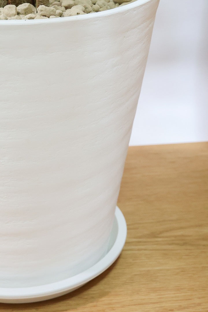 【エバーフレッシュ】たくさんのご要望にお応えしてプラスチックver！このボリュームでこの価格はお買い得！