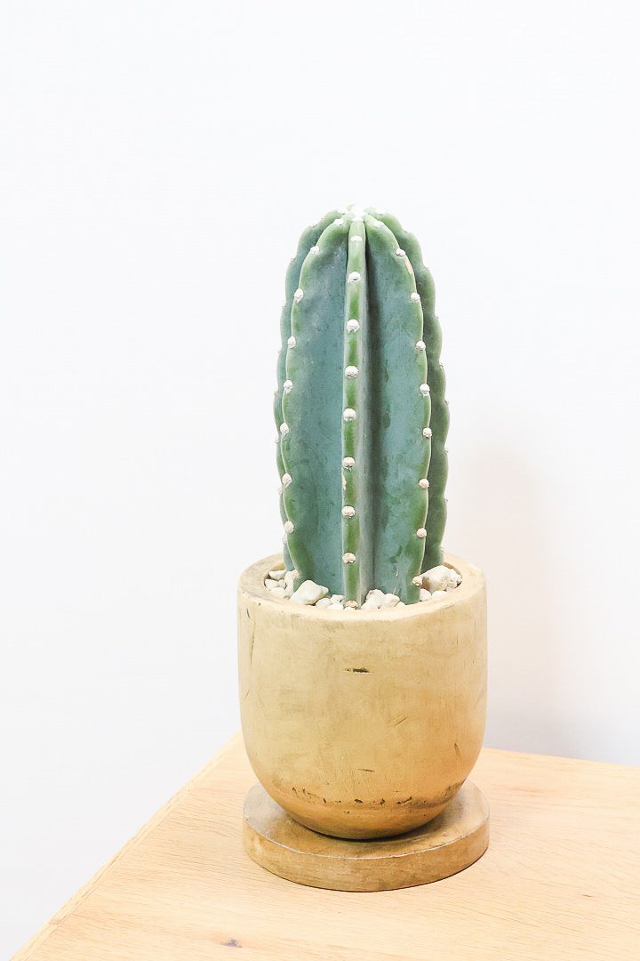 kokekokko様 SHINYAKOZUKAがCONVERSEとの初コラボレーションスニーカーを発売