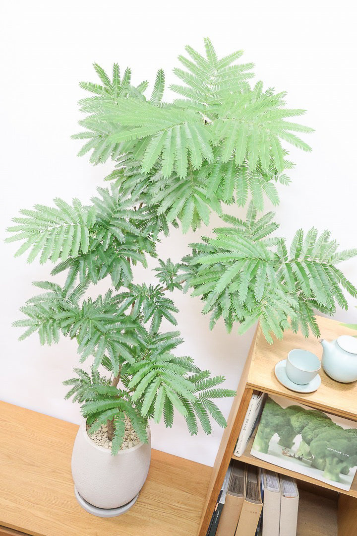 【エバーフレッシュ】ボリュームがあるタイプ！幹もとてもしっかりとしていますので、存在感がありますよ！