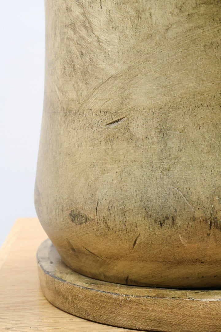 【フィカス・ソフィア】人気の木製POT！ゴムの中でも育てやすい品種！この幹は素晴らしく個性的です！