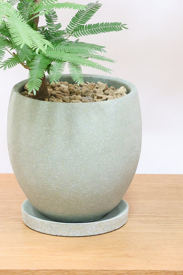 エバーフレッシュGR60755| 観葉植物の通信販売 | APEGO(アペーゴ)