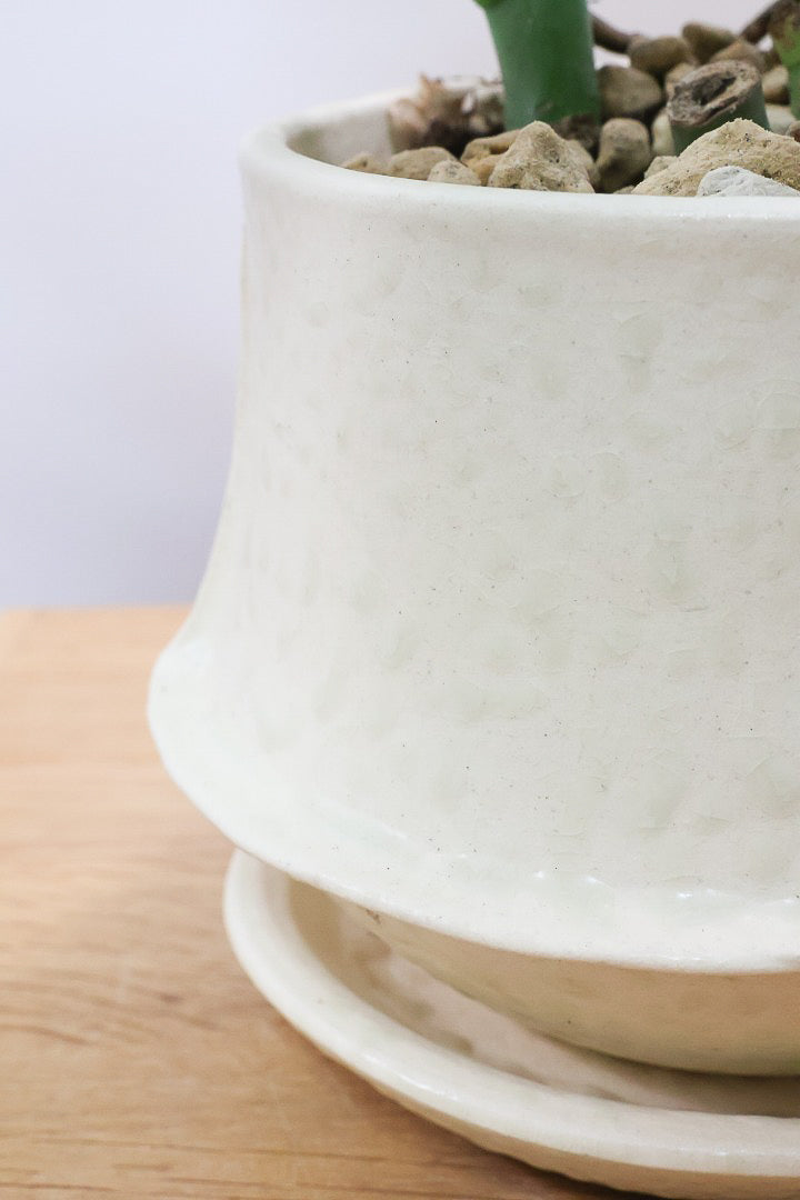 【モンステラ ミニマ】ナチュラルなアイボリーのPOT！癒しのナチュラル樹形！シンプルな中に奥深しさがありますよ！