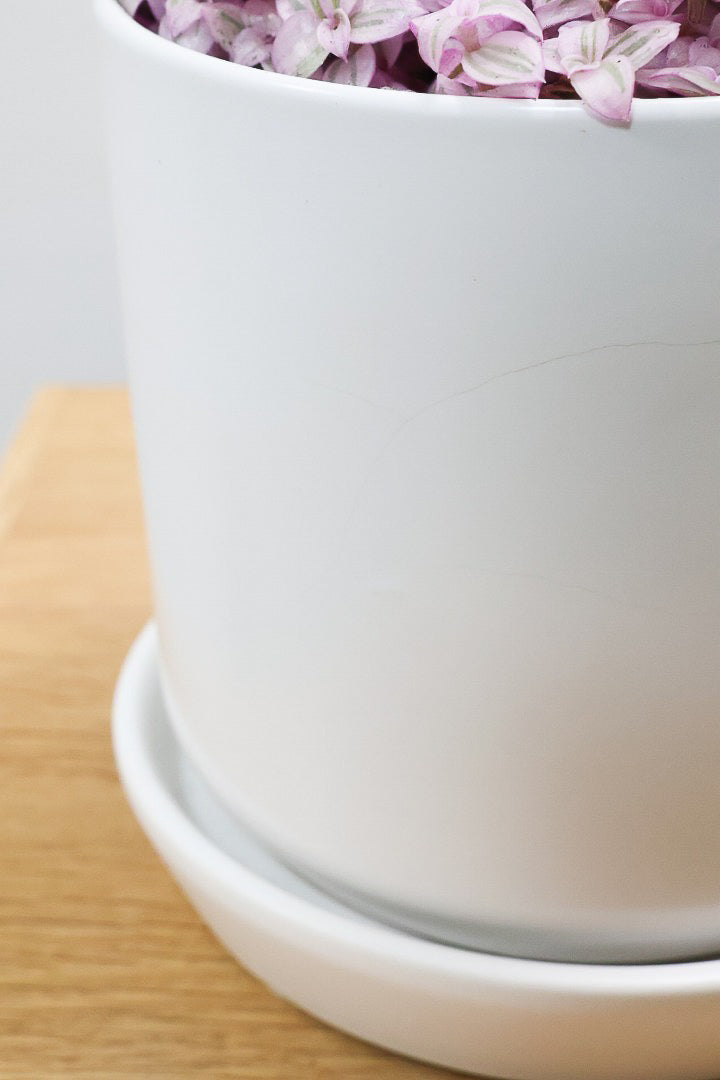 【カリシア ロザート】APEGO初入荷！目が覚めるような色！ここまできれいに発色しているものは珍しいのではないでしょうか！