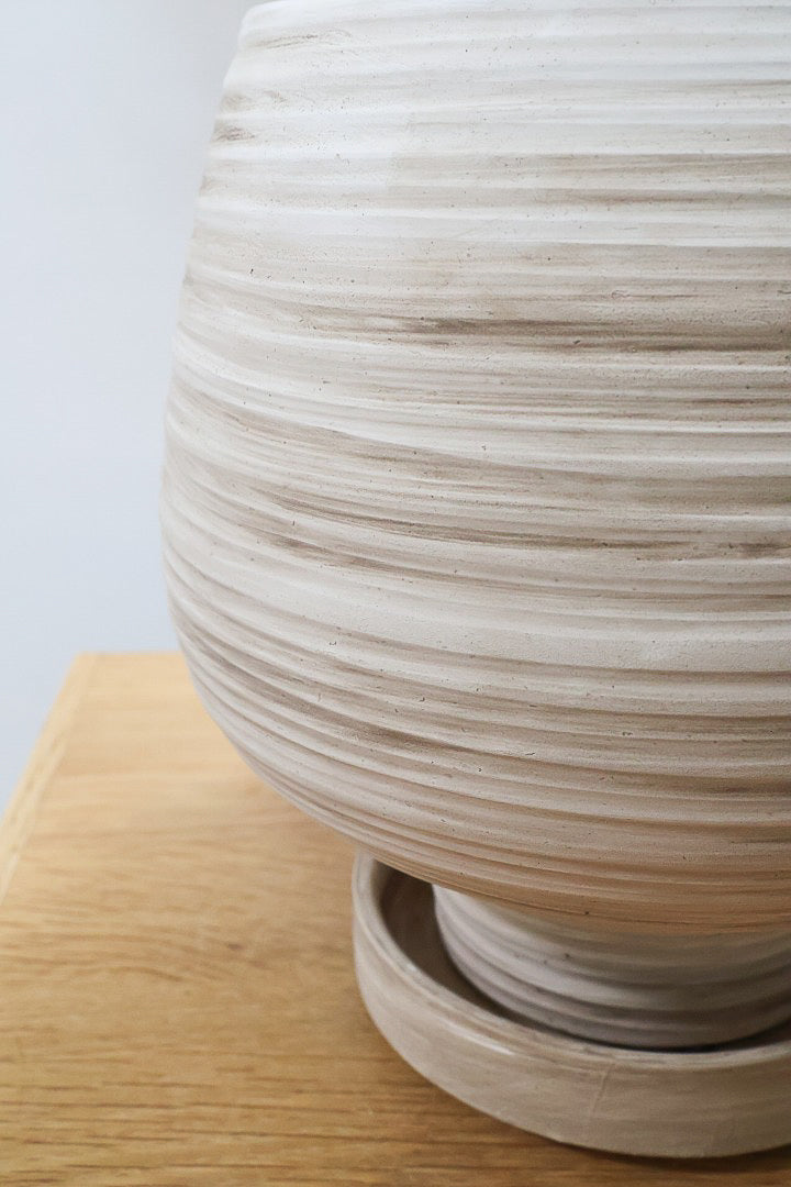 【ザミア フロリダ―ナ】ボリュームのあるサイズ！シャープな葉っぱが素敵！ギュッとした個性的なフォルムが特徴の希少な観葉植物！