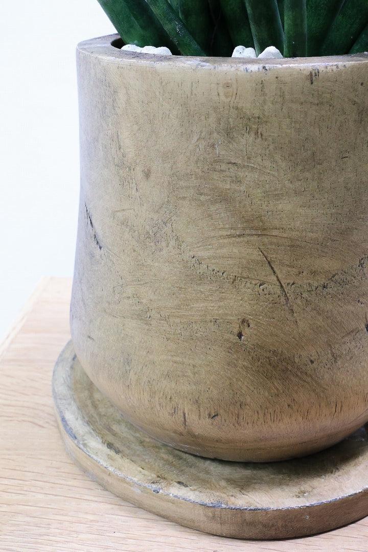 【サンスベリア トーチ】仲良しの生産者さんからいい形のものを分けてもらいました！木製のPOTもGOOD！