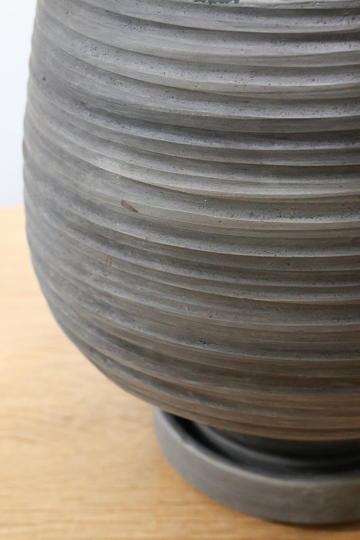 【サンスベリア キルキー】希少な大きサイズのキルキー！仲良しの生産者さんからいい形のものを分けてもらいました！個性的なフォルムが素敵！