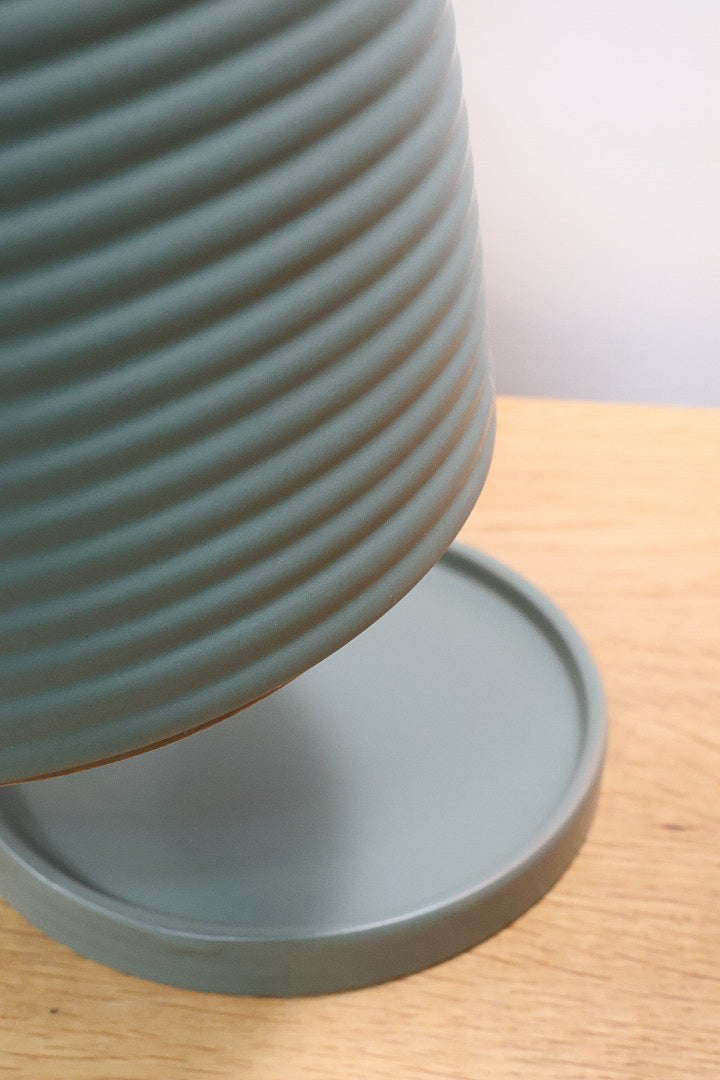 【モンステラ タイコンステレーション】渾身の一鉢！美斑が美しい素晴らしい個体です！おすすめ！