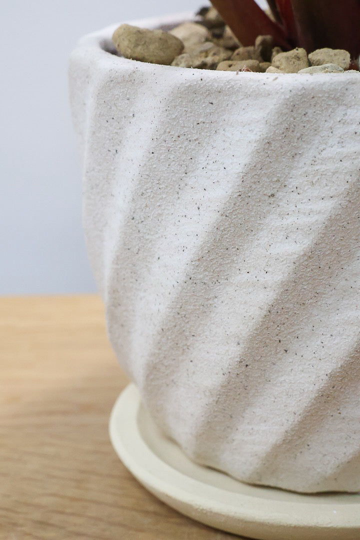 【フィロデンドロン ピンクバーキン】かわいいミニサイズです！葉色が美しくバランスが良い感じですのでぜひご検討ください！