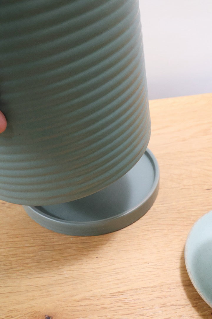 【エバーフレッシュ】カッコいい幹をお探しの方は必見！この幹太さもスタイルもカッコいいと思うんです！