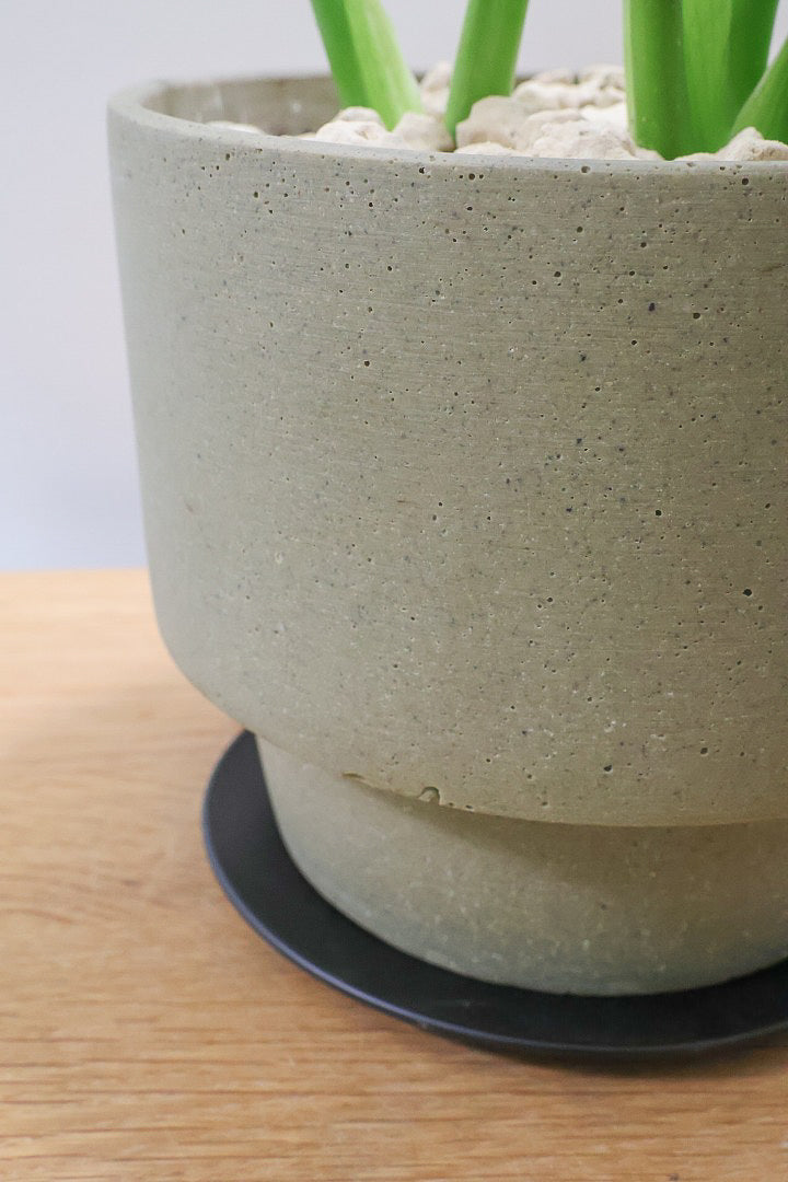 【モンステラ】かわいすぎますよ。だってこんなまん丸の葉っぱなんて…。POTと相性もいい感じ！