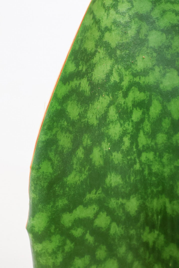 【サンスベリア マッソニアーナ】ホワイトのかわいい脚付きのPOT！葉っぱ一枚入魂の独特のフォルム！これはインテリアにピッタリ！