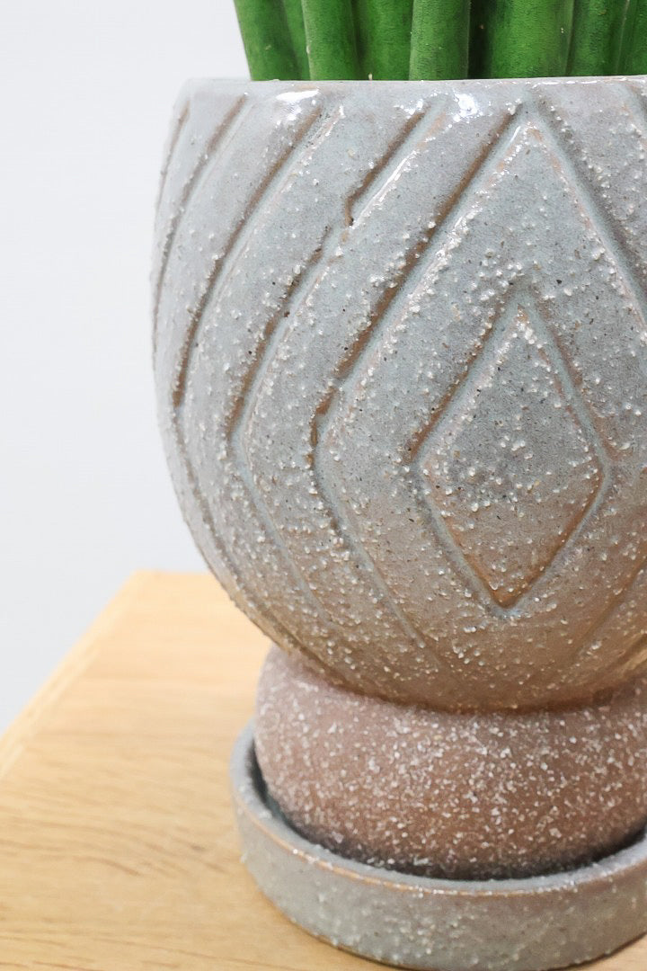 【サンスベリア バキュラリス】仲良しの生産者さんからいい形のものを分けてもらいました！シャープな葉が素敵です！