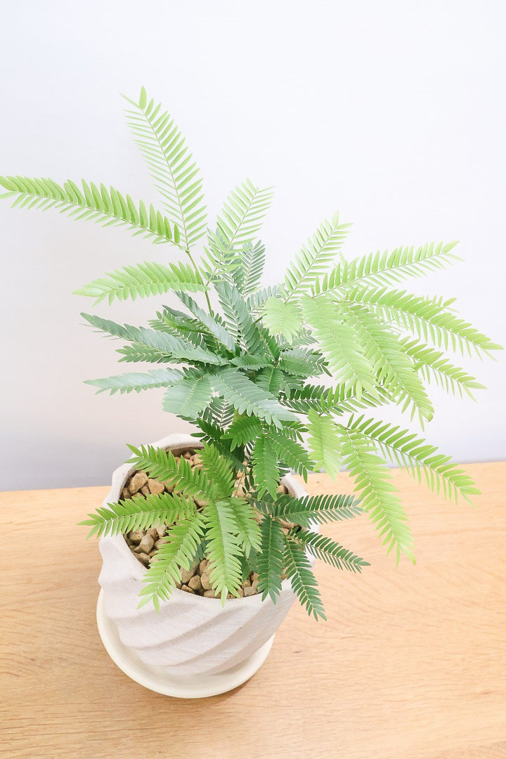 【エバーフレッシュ】わかる人にはわかると思いますが、この幹太さもスタイルもカッコいいと思うんです！