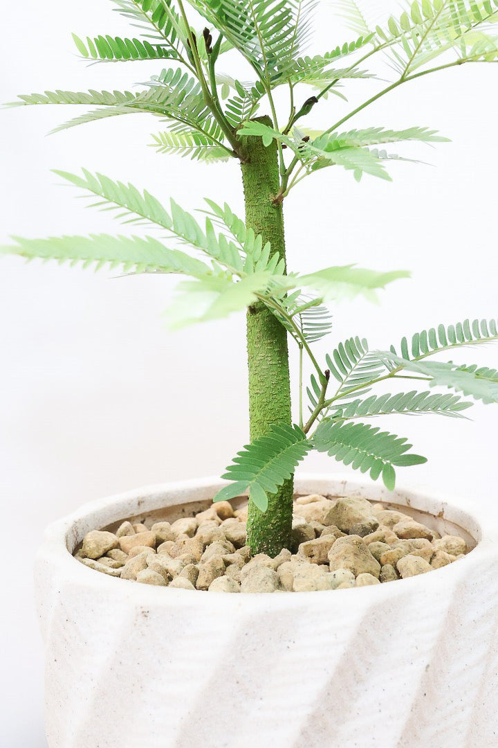 【エバーフレッシュ】わかる人にはわかると思いますが、この幹太さもスタイルもカッコいいと思うんです！