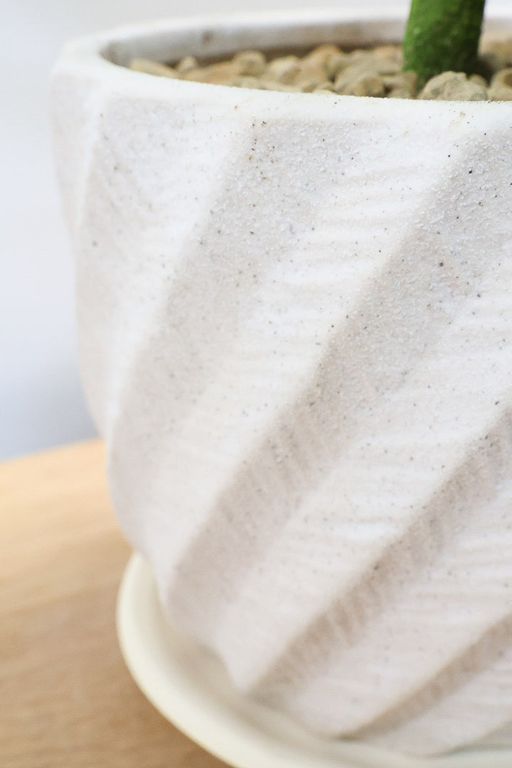 【エバーフレッシュ】わかる人にはわかると思いますが、この幹太さもスタイルもカッコいいと思うんです！