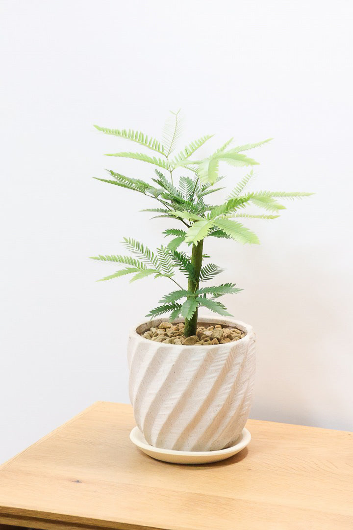 【エバーフレッシュ】わかる人にはわかると思いますが、この幹太さもスタイルもカッコいいと思うんです！