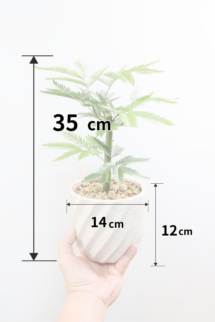 【エバーフレッシュ】わかる人にはわかると思いますが、この幹太さもスタイルもカッコいいと思うんです！