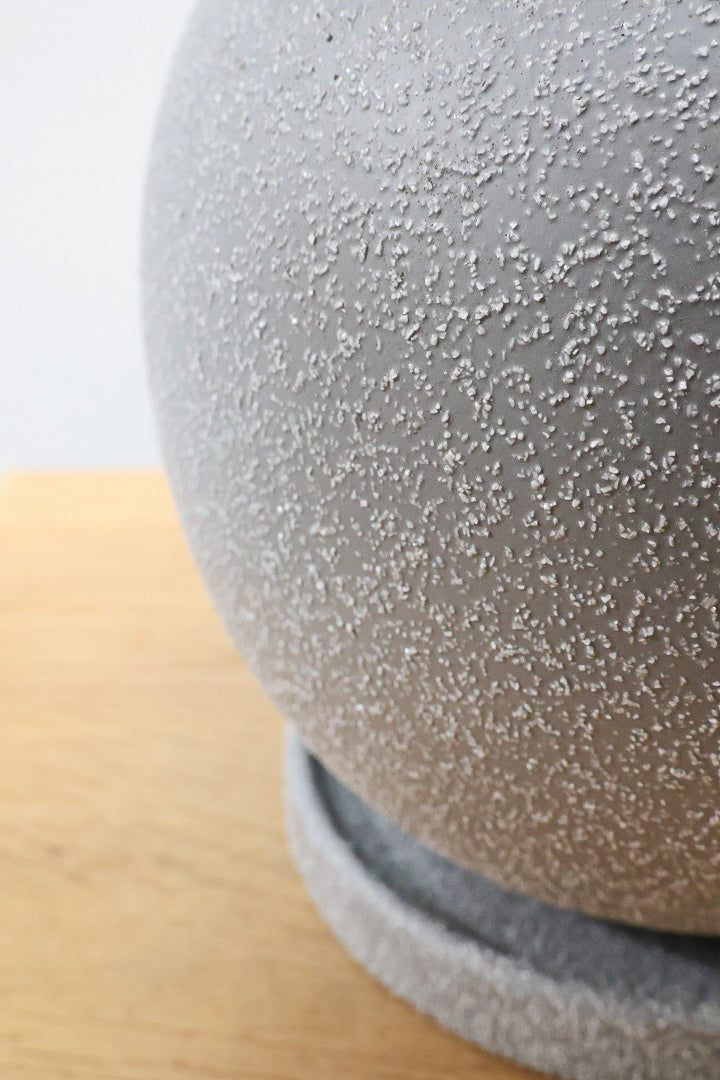 【ポリシャス パセリ】タイトだけどワイルドな幹。温暖な鹿児島県でじっくりと育てられました！細やかな葉っぱとゴリゴリの幹が素敵！