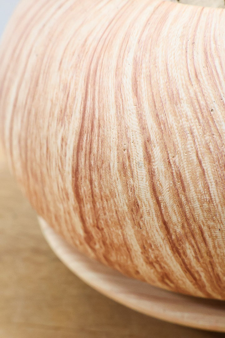 【サンスベリア ブラックボンセレンシス】大好きな品種！シブイ色合いが素敵！木目調のPOTもイイ感じです！