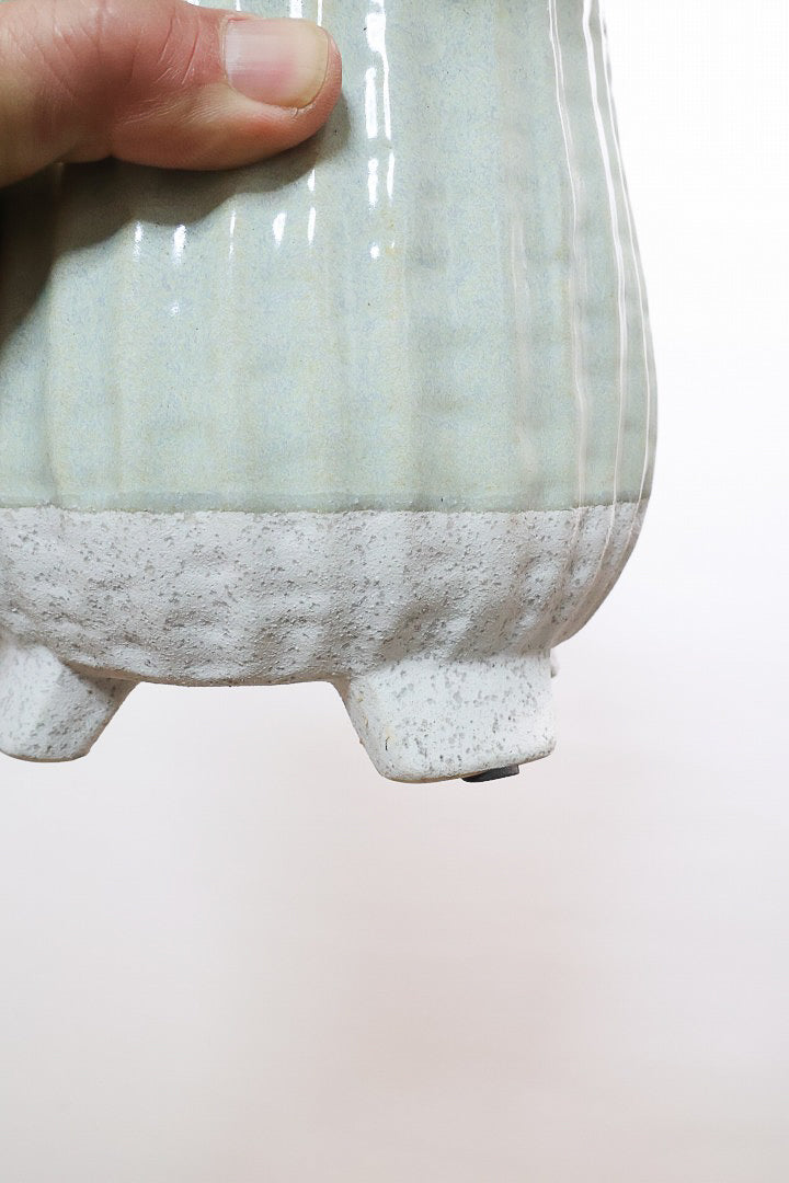 【スキンダプサス トレビー】ベルベットのような葉の質感。葉の模様が個性的で美しい観葉植物です！